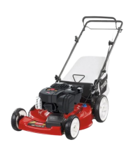 Toro Recycler 22 in. Briggs & Stratton High Wheel Variable Speed Gas Walk Behind