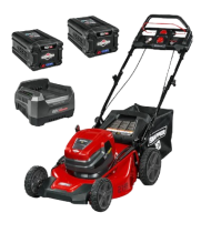 Snapper XD 82-Volt MAX Electric Cordless 21 in. Lawn Mower, Battery and Charger