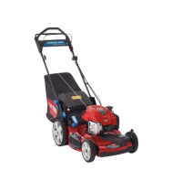Toro Recycler 22 in. SmartStow Briggs and Stratton PoweReverse Personal Pace Gas